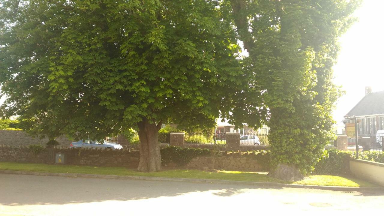 Conn Oriel B&B Tralee Exterior photo